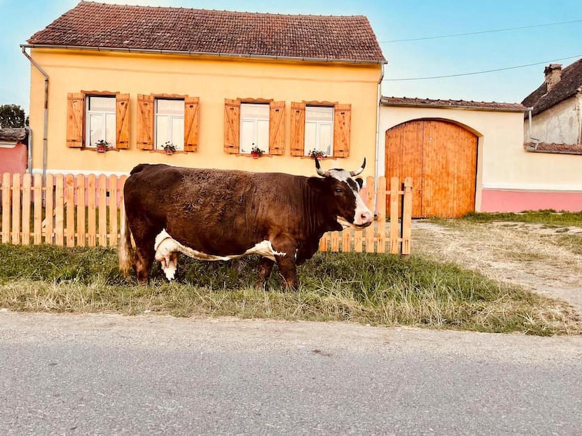 Chalet Giuel Barcut エクステリア 写真
